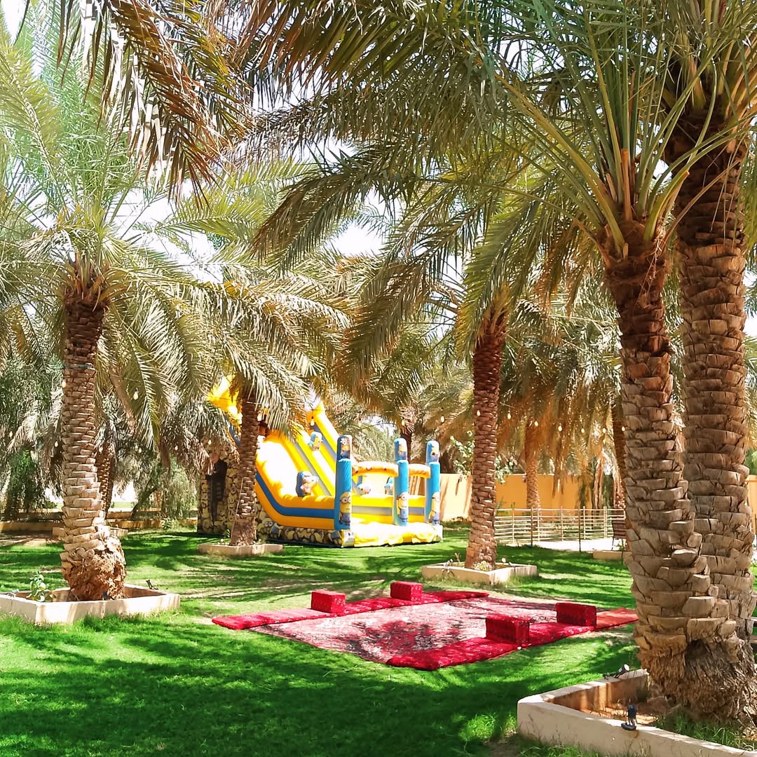 المدونة